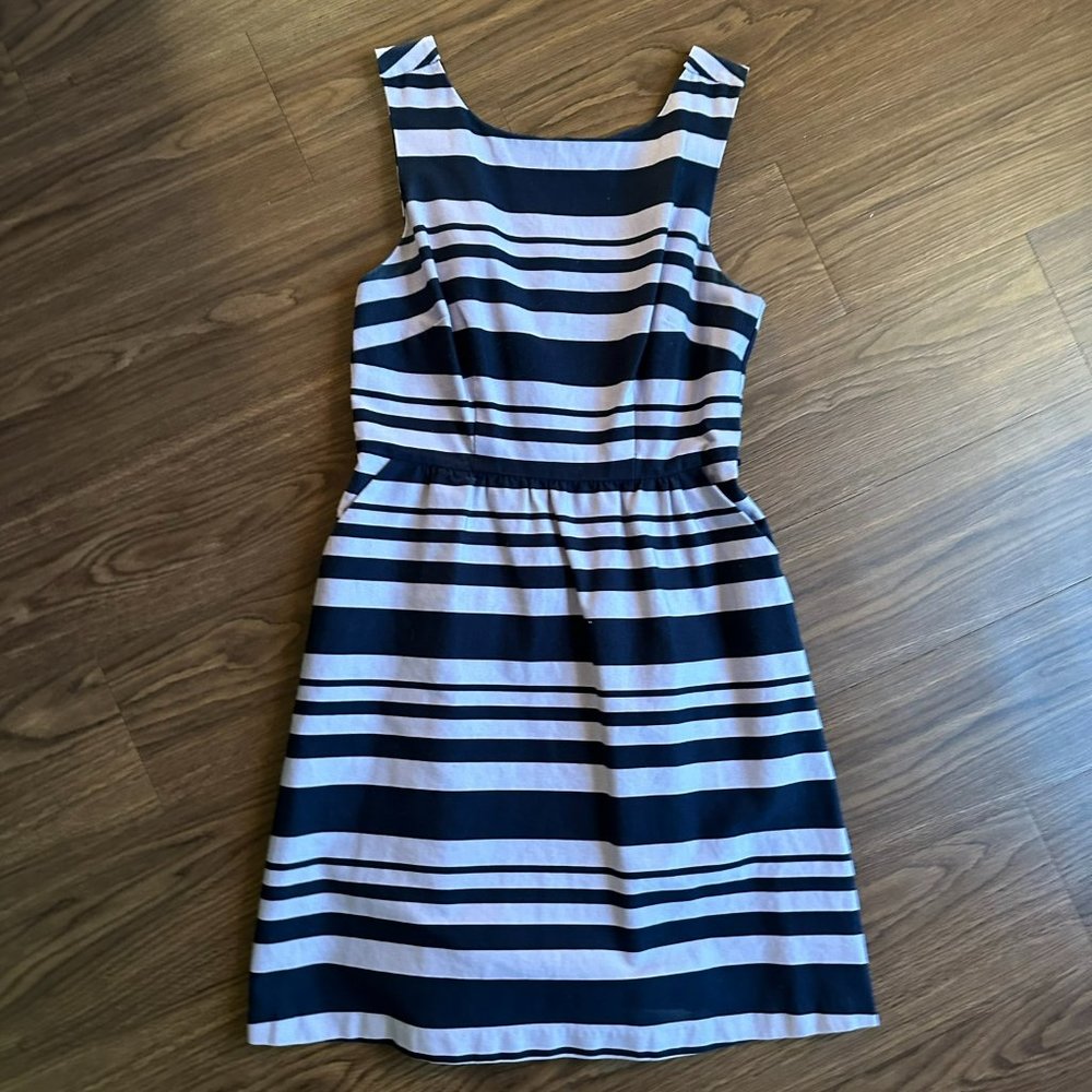 Vintage Rare Belted Knee Length Dress Lavender Purple & Navy Blue The Limited 2